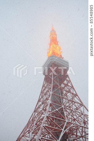 牡丹雪舞的東京塔 牡丹雪舞的東京塔 85548985
