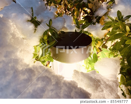snow snow 85549777