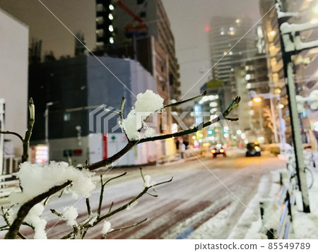 snow snow 85549789