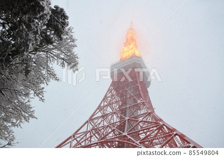 牡丹雪舞的東京塔 牡丹雪舞的東京塔 85549804
