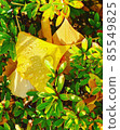 leaf  85549825