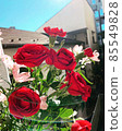 Flowers 85549828