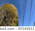 Sky  85549831