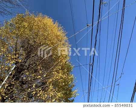 Sky Sky 85549831