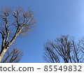 Sky  85549832