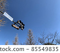 Sky  85549835