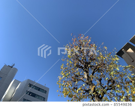 天空 天空 85549836