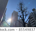 town  85549837