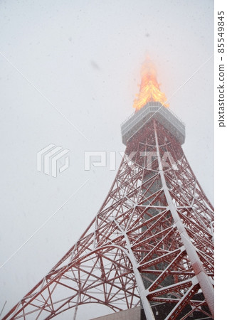 Tokyo Tower where peony snow dances Tokyo Tower where peony snow dances 85549845