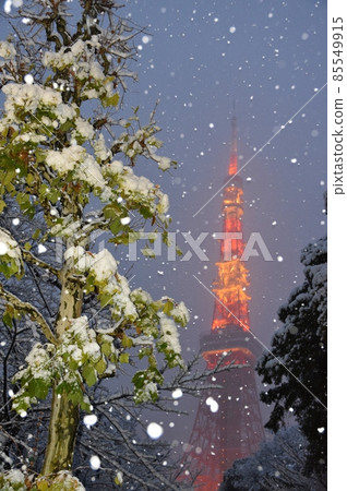 Tokyo Tower where peony snow dances Tokyo Tower where peony snow dances 85549915