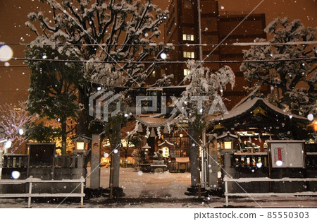 佐知稻荷神社，牡丹舞動，雪花，東京 85550303