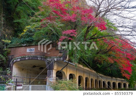 箱根町神奈川縣足柄下區 Kanrei 隧道 箱根町神奈川縣足柄下區 Kanrei 隧道 85550379