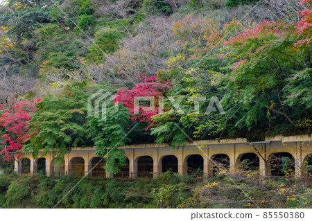箱根町神奈川縣足柄下區 Kanrei 隧道 箱根町神奈川縣足柄下區 Kanrei 隧道 85550380