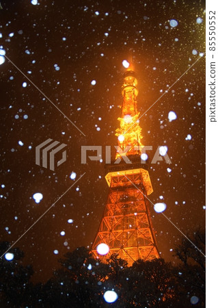 牡丹雪舞的東京塔 牡丹雪舞的東京塔 85550552