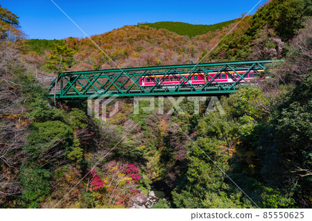 Hakone Town, Ashigarashimo District, Kanagawa Prefecture Autumn Leaves and Hayakawa Bridge 85550625