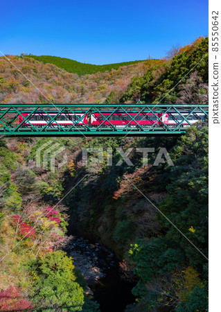 Hakone Town, Ashigarashimo District, Kanagawa Prefecture Autumn Leaves and Hayakawa Bridge Hakone Town, Ashigarashimo District, Kanagawa Prefecture Autumn Leaves and Hayakawa Bridge 85550642