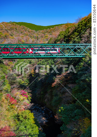 Hakone Town, Ashigarashimo District, Kanagawa Prefecture Autumn Leaves and Hayakawa Bridge Hakone Town, Ashigarashimo District, Kanagawa Prefecture Autumn Leaves and Hayakawa Bridge 85550644