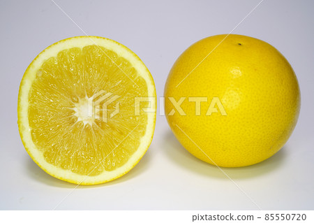 South African Jackson Fruit (Grapefruit) 85550720