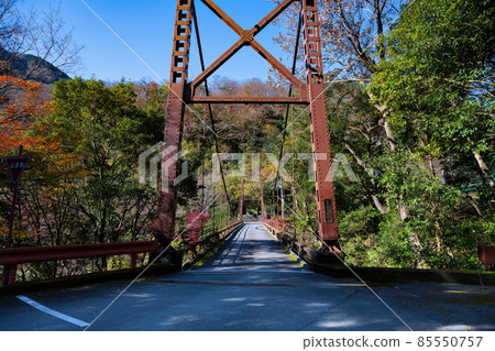 神奈川縣足柄下郡箱根町澤橋，秋葉之塔 85550757