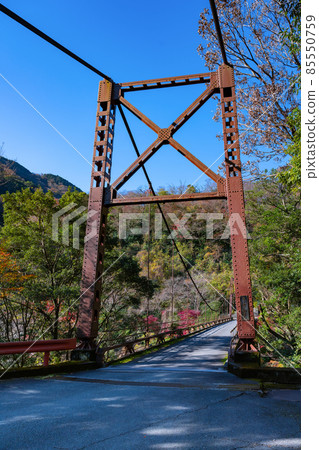 Hakone-machi, Ashigarashimo-gun, Kanagawa Prefecture, Sawabashi, the tower of the autumn leaves season Hakone-machi, Ashigarashimo-gun, Kanagawa Prefecture, Sawabashi, the tower of the autumn leaves season 85550759