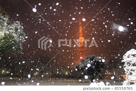 牡丹雪舞的芝公園和東京塔 牡丹雪舞的芝公園和東京塔 85550765