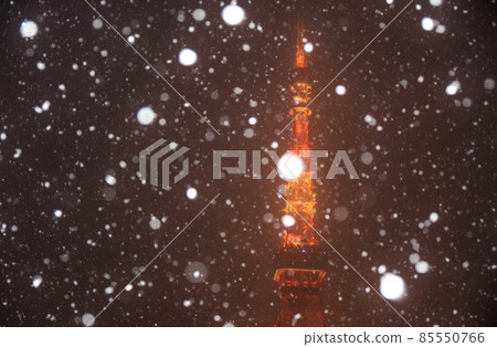 牡丹雪舞的東京塔 牡丹雪舞的東京塔 85550766