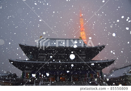 Zojoji Temple and Tokyo Tower in the Snow Zojoji Temple and Tokyo Tower in the Snow 85550809