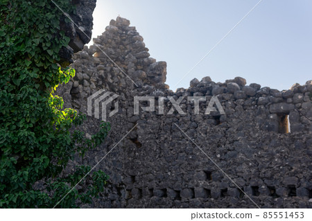 ruins of the castle are entwined with ivy 85551453