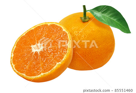 Mandarin orange fruit illustration real set Mandarin orange fruit illustration real set 85551460