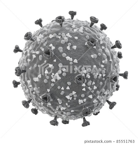 COVID-19 . Structure of corona virus . Spike glycoprotein and envelope protein and membrane protein . Fine detailed texture . Black and white color . Isolated . 3D rendering . Embedded clipping paths 85551763