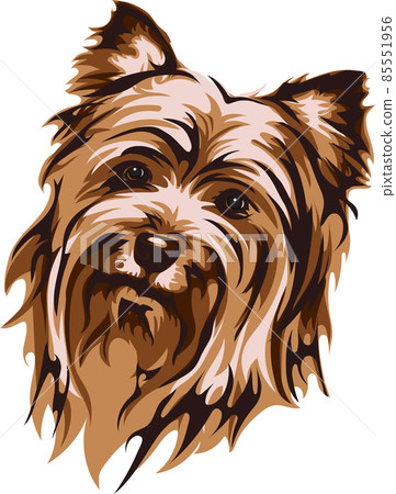Vector image of a muzzle of a dog, Yorkshire Terrier, vector illustration for use in logos, signs, trademarks, for design and advertising 85551956