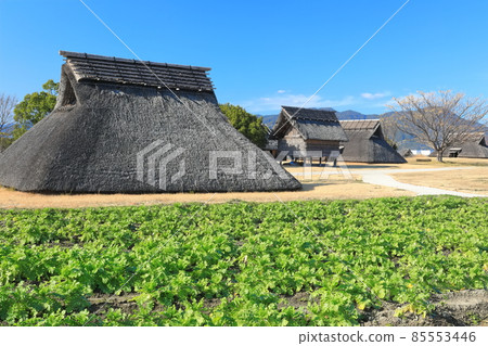 [Saga Prefecture] Yoshinogari Historical Park under clear skies (Mura in the south) 85553446