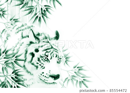 Powerful white tiger and bamboo grove ink painting style illustration Postcard ratio Astringent blue-green Horizontal high resolution Other colors available Powerful white tiger and bamboo grove ink painting style illustration Postcard ratio Astringent blue-green Horizontal high resolution Other colors available 85554472
