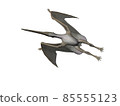 Pteranodon 85555123