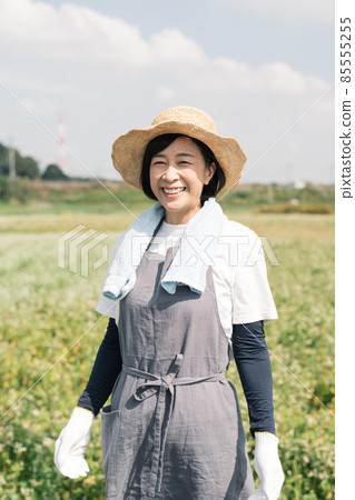 Image of a farmer woman and a Japanese woman doing farm work Image of a farmer woman and a Japanese woman doing farm work 85555255