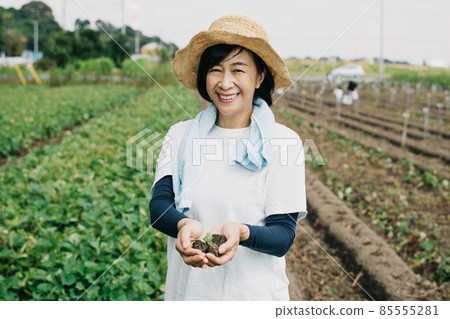 一個農婦和一個日本女人做農活的形象 一個農婦和一個日本女人做農活的形象 85555281
