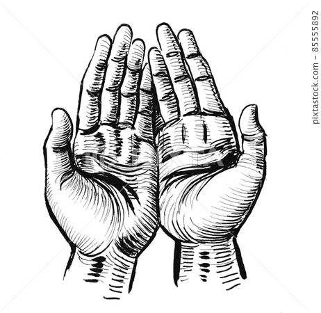 Human hands. ink black and white drawing 85555892