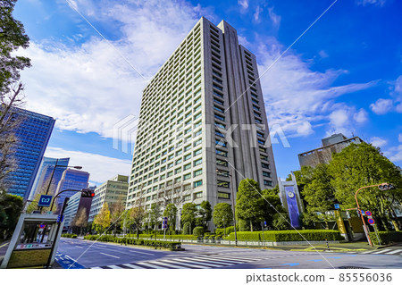 Ministry of Health, Labor and Welfare 85556036