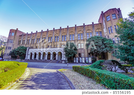 東京大學醫學院 東京大學醫學院 85556195
