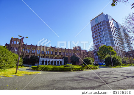 東京大學醫學院 東京大學醫學院 85556198
