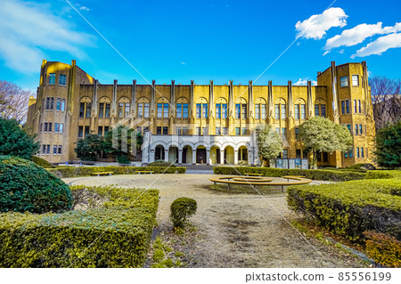 東京大學醫學院 東京大學醫學院 85556199