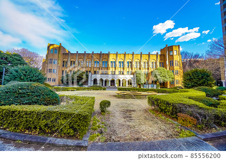The University of Tokyo School of Medicine The University of Tokyo School of Medicine 85556200