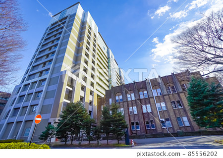 The University of Tokyo School of Medicine 85556202