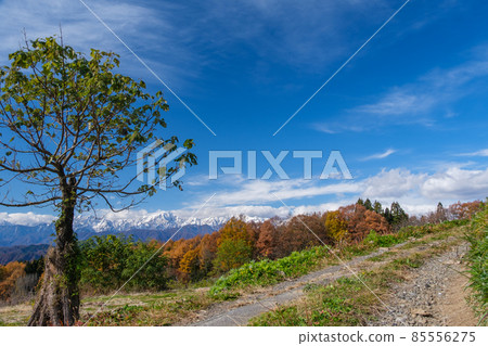 Snowy mountain and road 85556275