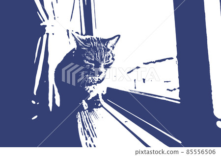 貓貓貓Kijitora白色灰色小貓女女女貓女貓女貓開朗可愛治愈 85556506