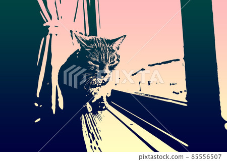 Cat Cat Cat Kijitora White Gray Kitten Female Female Female Cat Female Cat Female Cat Cheerful Cute Healing 85556507