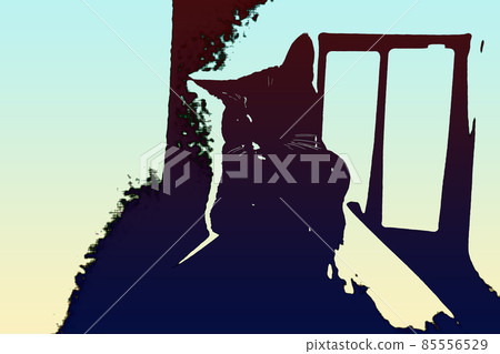 Cat Cat Cat Kijitora White Gray Kitten Female Female Female Cat Female Cat Female Cat Cheerful Cute Healing 85556529