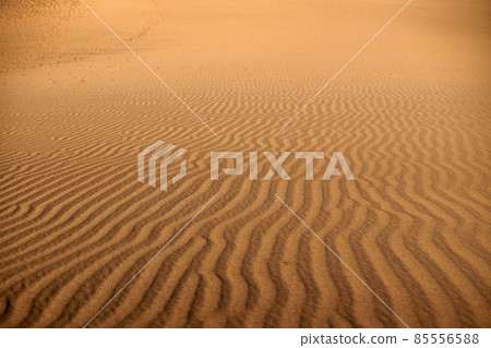 Tottori four seasons walk spring sand dunes 85556588