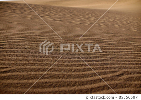 Tottori four seasons walk spring sand dunes 85556597
