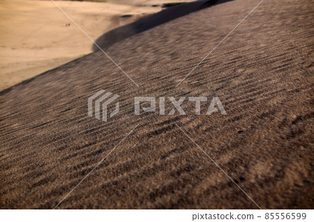 Tottori four seasons walk spring sand dunes 85556599